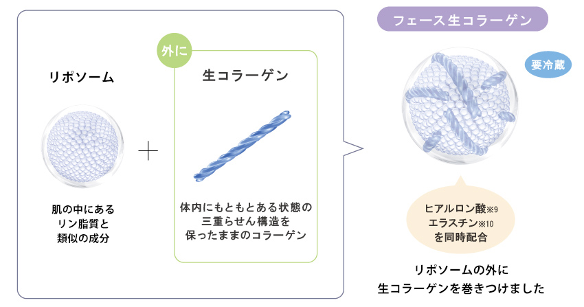 フェース生コラーゲン