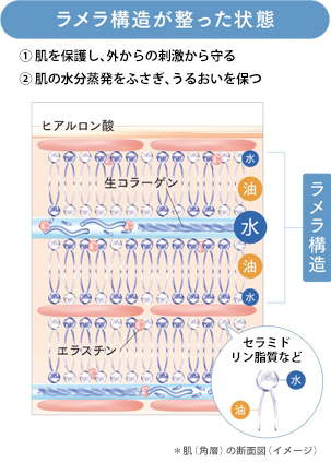 ラメラ構造が整った状態