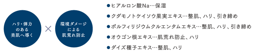 カプセルに内包している成分